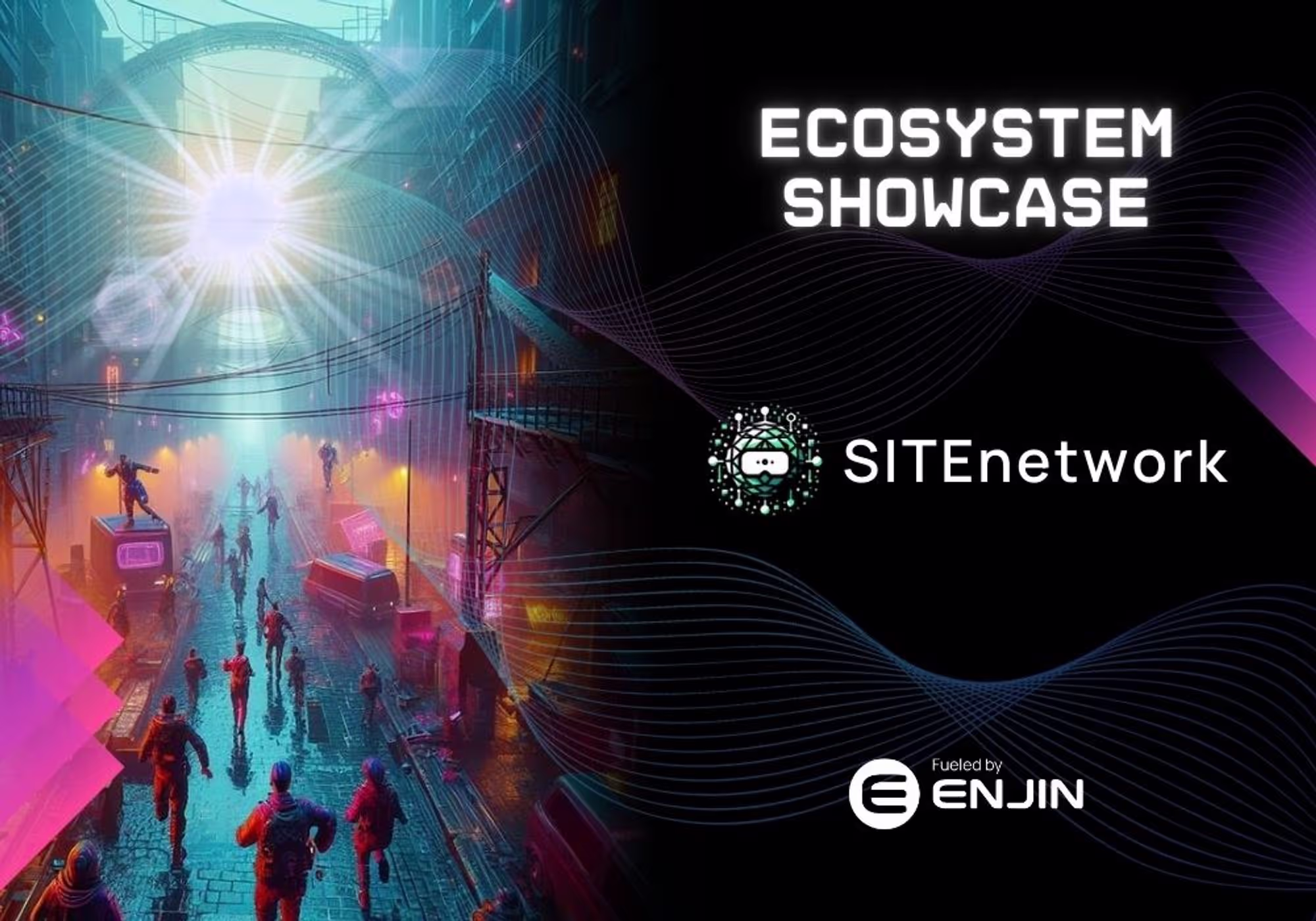 SITEnetwork